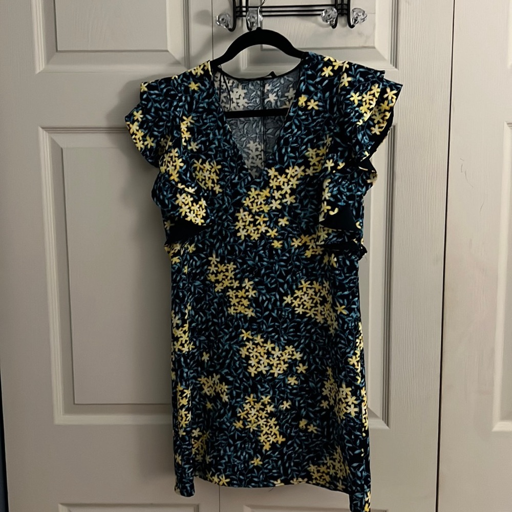 Zara Blue Floral Dress with Fancy Sleeves